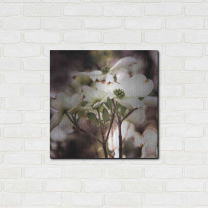 Luxe Metal Art 'White Dogwood II' by Debra Van Swearingen, Metal Wall Art,24x24