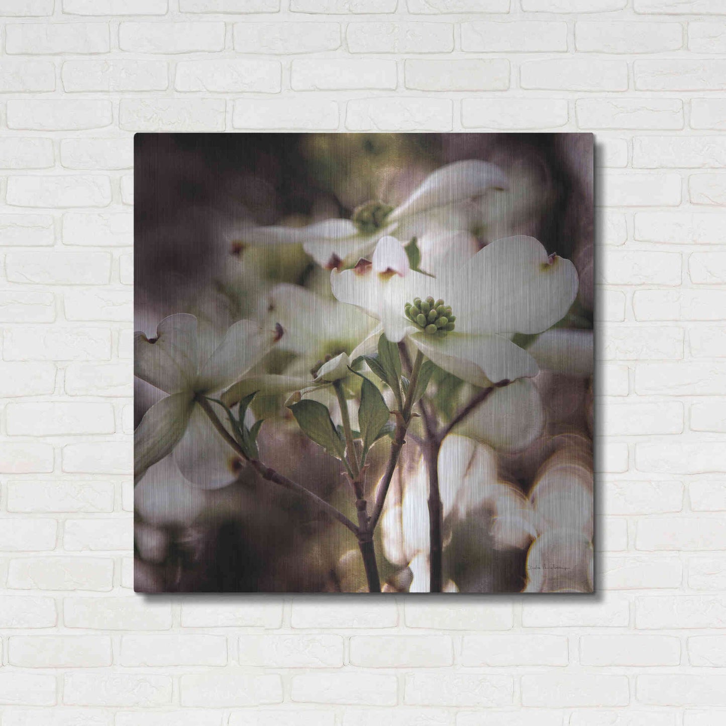 Luxe Metal Art 'White Dogwood II' by Debra Van Swearingen, Metal Wall Art,36x36