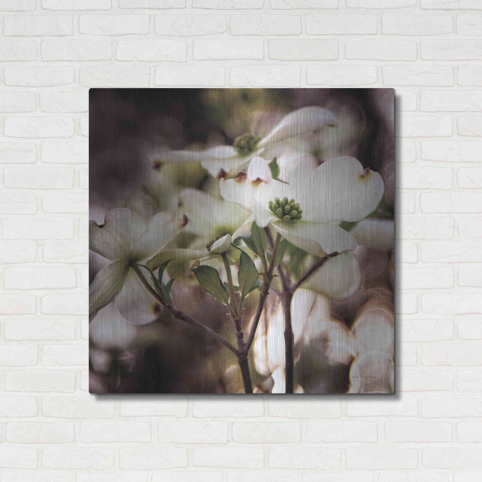 Luxe Metal Art 'White Dogwood II' by Debra Van Swearingen, Metal Wall Art,36x36