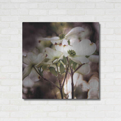 Luxe Metal Art 'White Dogwood II' by Debra Van Swearingen, Metal Wall Art,36x36