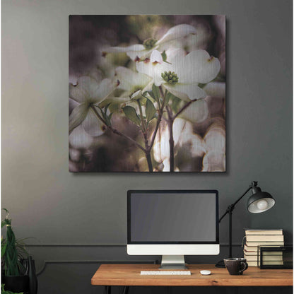 Luxe Metal Art 'White Dogwood II' by Debra Van Swearingen, Metal Wall Art,36x36