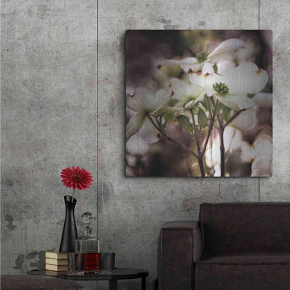Luxe Metal Art 'White Dogwood II' by Debra Van Swearingen, Metal Wall Art,36x36
