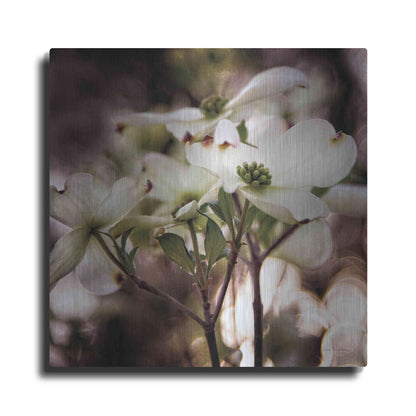 Luxe Metal Art 'White Dogwood II' by Debra Van Swearingen, Metal Wall Art