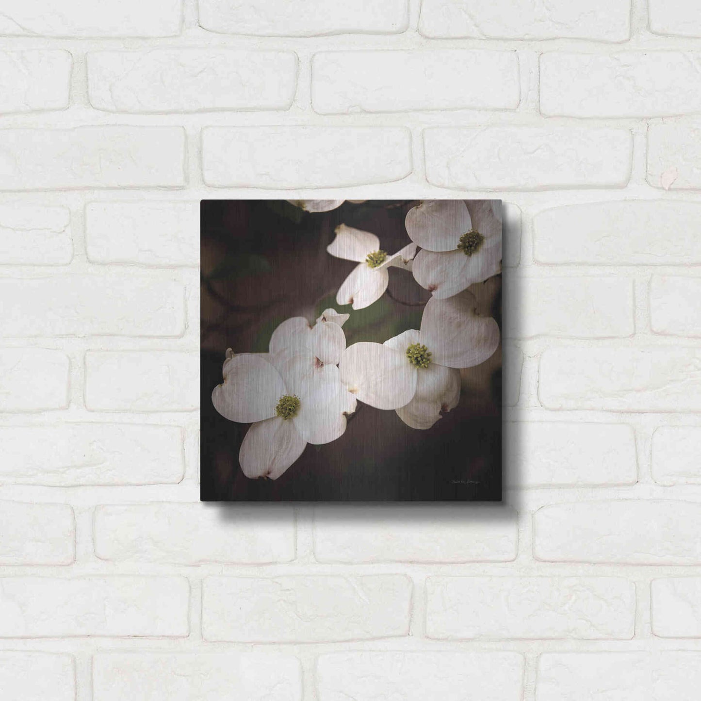 Luxe Metal Art 'White Dogwood III' by Debra Van Swearingen, Metal Wall Art,12x12