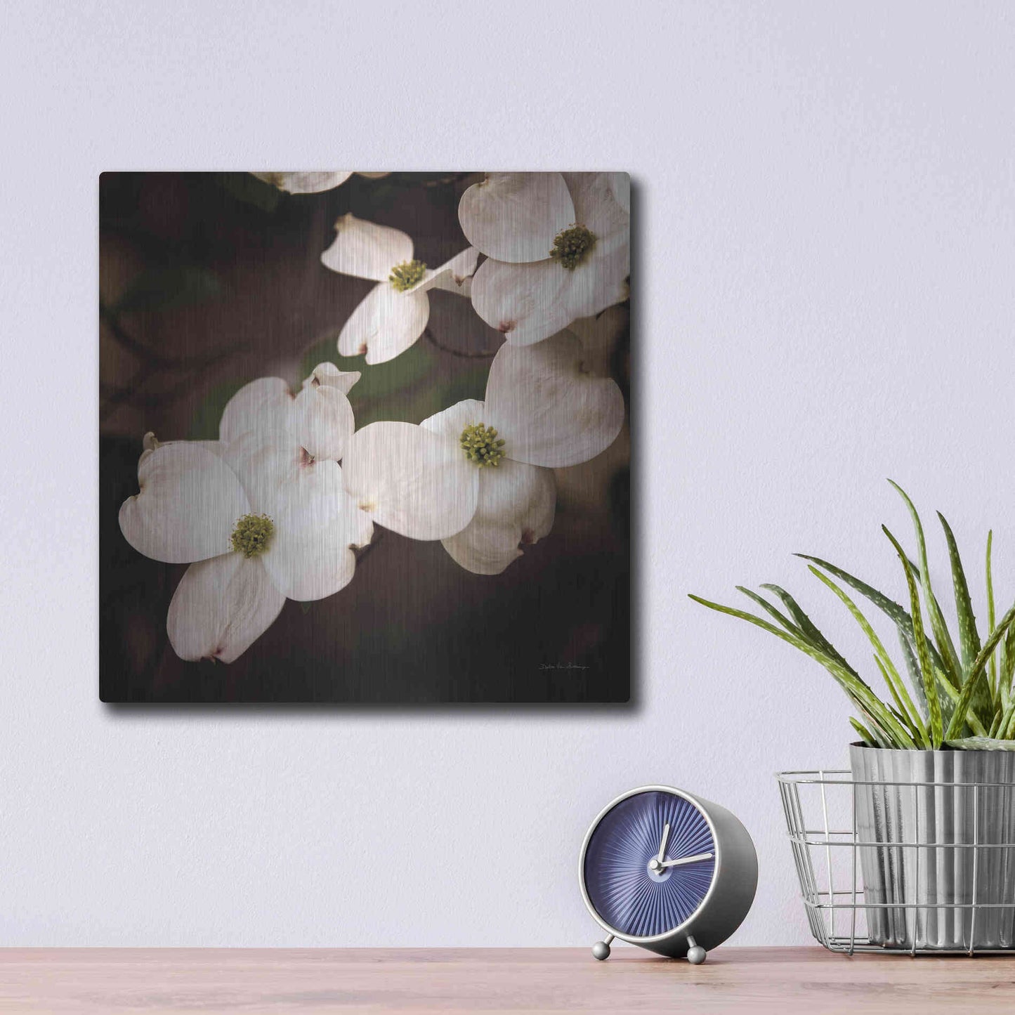 Luxe Metal Art 'White Dogwood III' by Debra Van Swearingen, Metal Wall Art,12x12