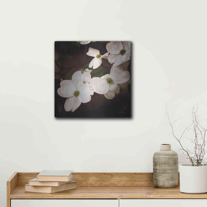 Luxe Metal Art 'White Dogwood III' by Debra Van Swearingen, Metal Wall Art,12x12