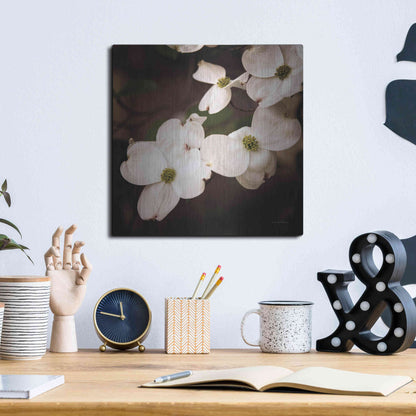 Luxe Metal Art 'White Dogwood III' by Debra Van Swearingen, Metal Wall Art,12x12