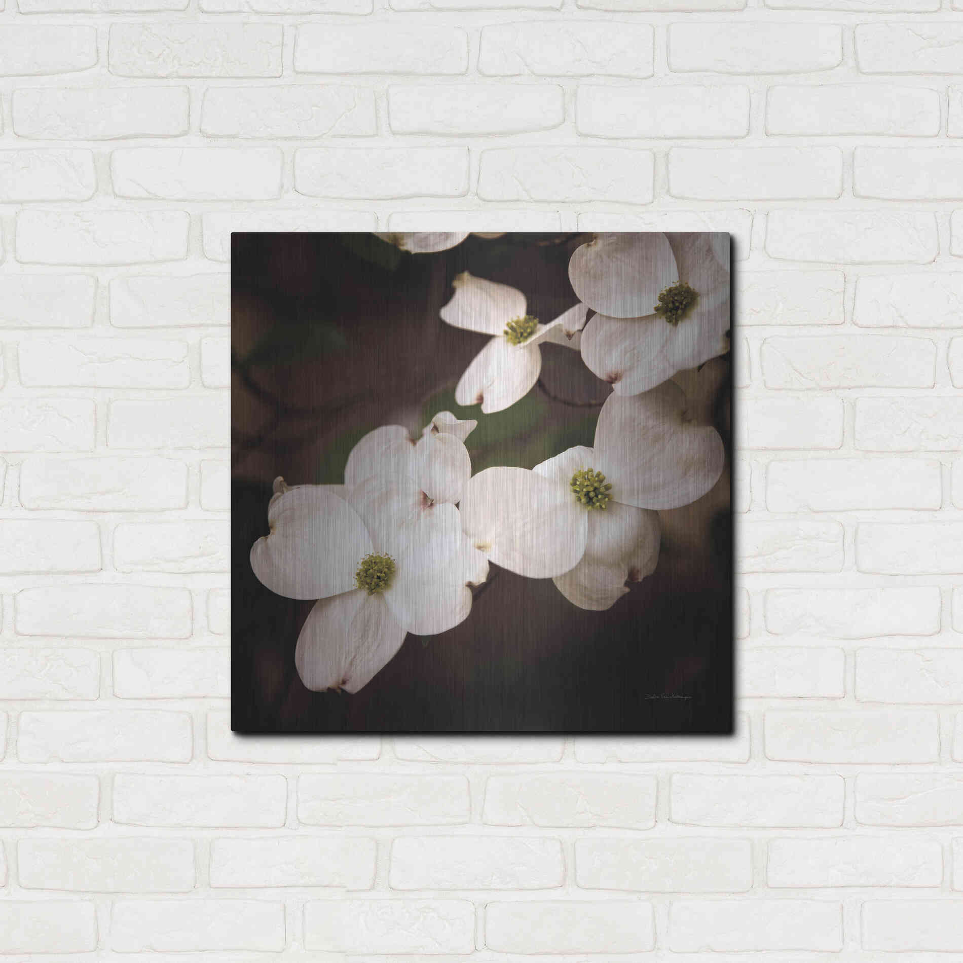 Luxe Metal Art 'White Dogwood III' by Debra Van Swearingen, Metal Wall Art,24x24