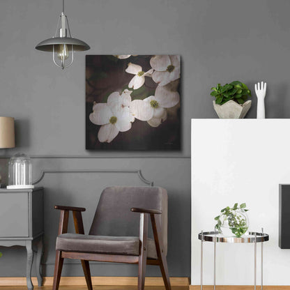 Luxe Metal Art 'White Dogwood III' by Debra Van Swearingen, Metal Wall Art,24x24
