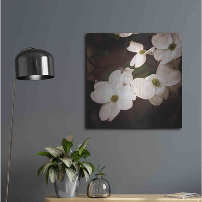 Luxe Metal Art 'White Dogwood III' by Debra Van Swearingen, Metal Wall Art,24x24