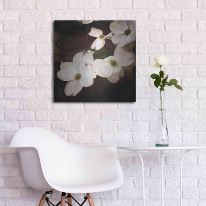 Luxe Metal Art 'White Dogwood III' by Debra Van Swearingen, Metal Wall Art,24x24