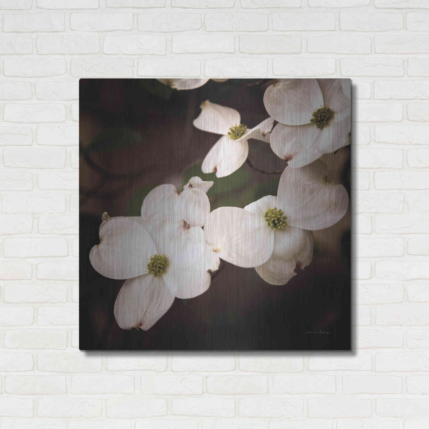 Luxe Metal Art 'White Dogwood III' by Debra Van Swearingen, Metal Wall Art,36x36