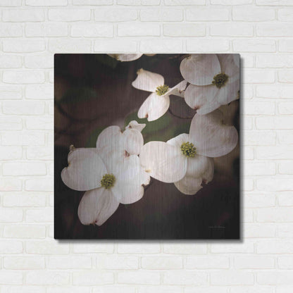 Luxe Metal Art 'White Dogwood III' by Debra Van Swearingen, Metal Wall Art,36x36