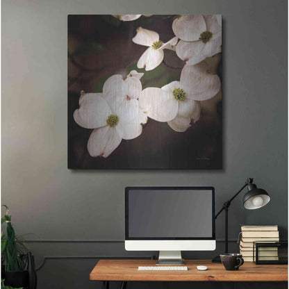 Luxe Metal Art 'White Dogwood III' by Debra Van Swearingen, Metal Wall Art,36x36
