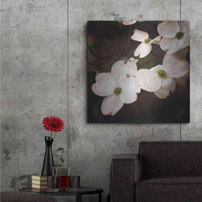 Luxe Metal Art 'White Dogwood III' by Debra Van Swearingen, Metal Wall Art,36x36