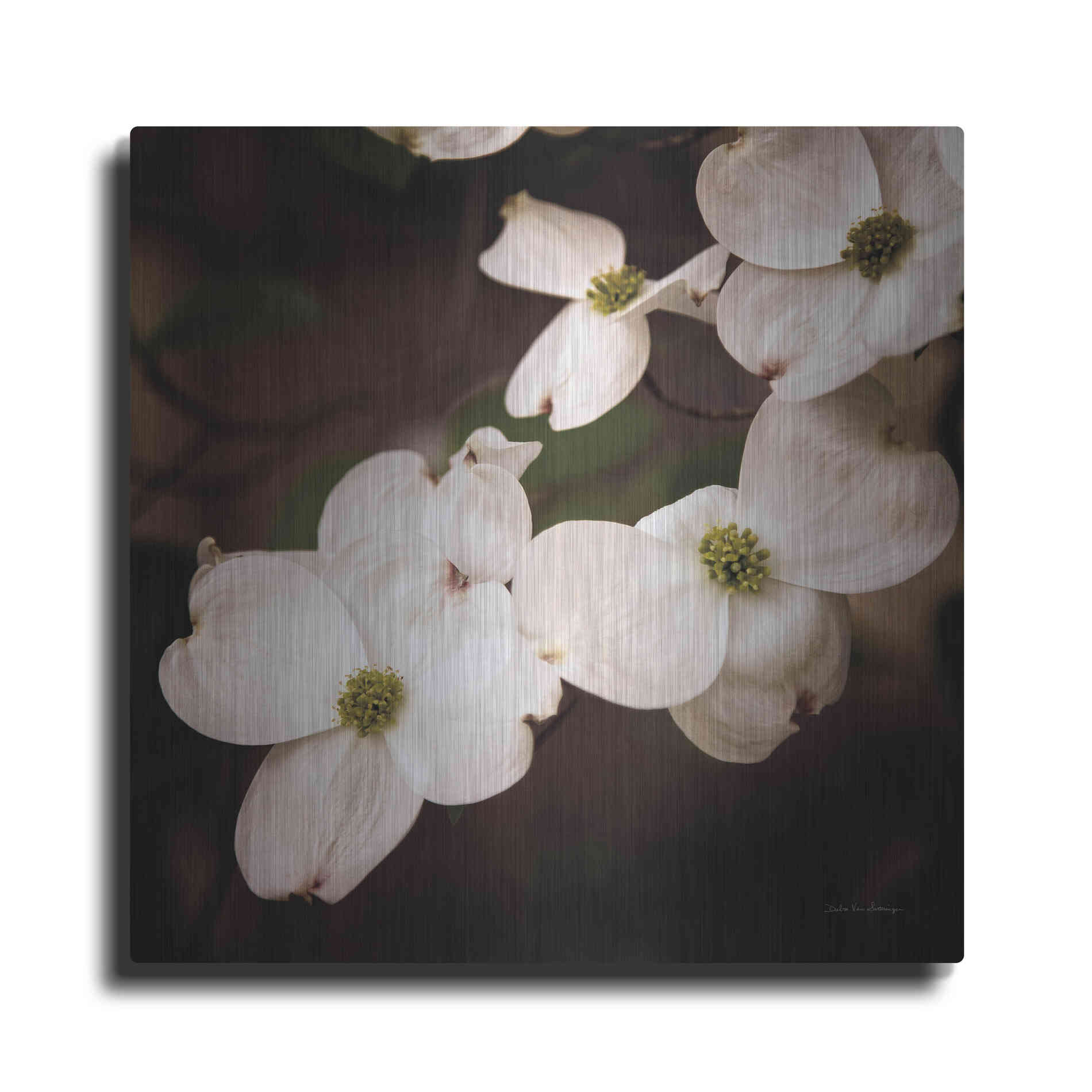 Luxe Metal Art 'White Dogwood III' by Debra Van Swearingen, Metal Wall Art