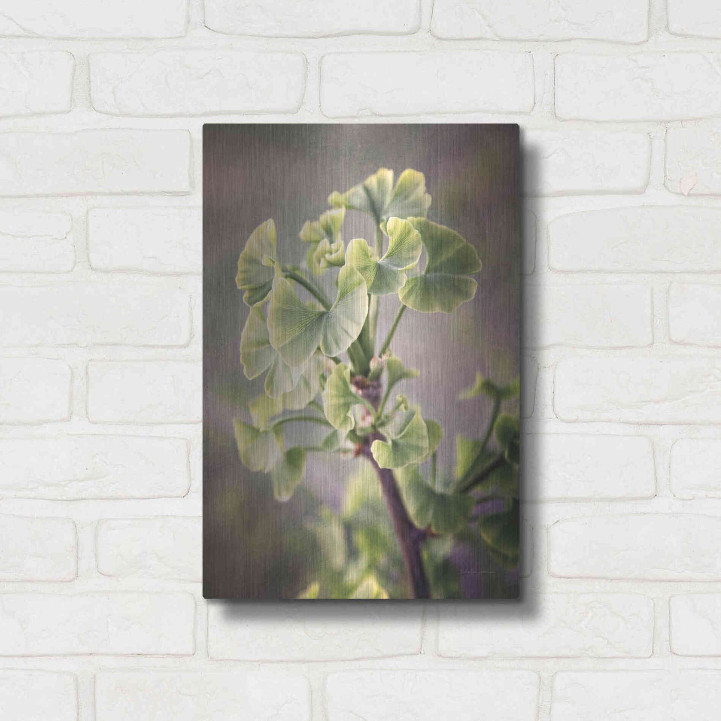 Luxe Metal Art 'Sprouting Ginkgo I' by Debra Van Swearingen, Metal Wall Art,12x16