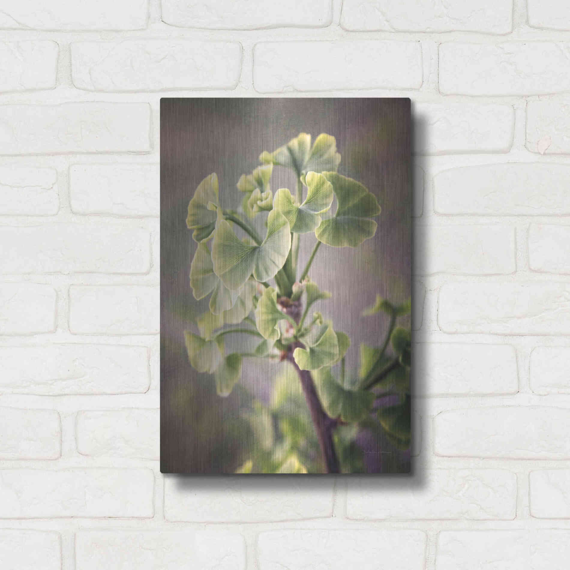 Luxe Metal Art 'Sprouting Ginkgo I' by Debra Van Swearingen, Metal Wall Art,12x16