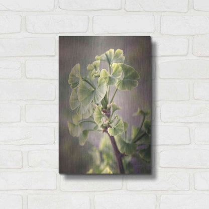 Luxe Metal Art 'Sprouting Ginkgo I' by Debra Van Swearingen, Metal Wall Art,12x16