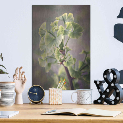 Luxe Metal Art 'Sprouting Ginkgo I' by Debra Van Swearingen, Metal Wall Art,12x16