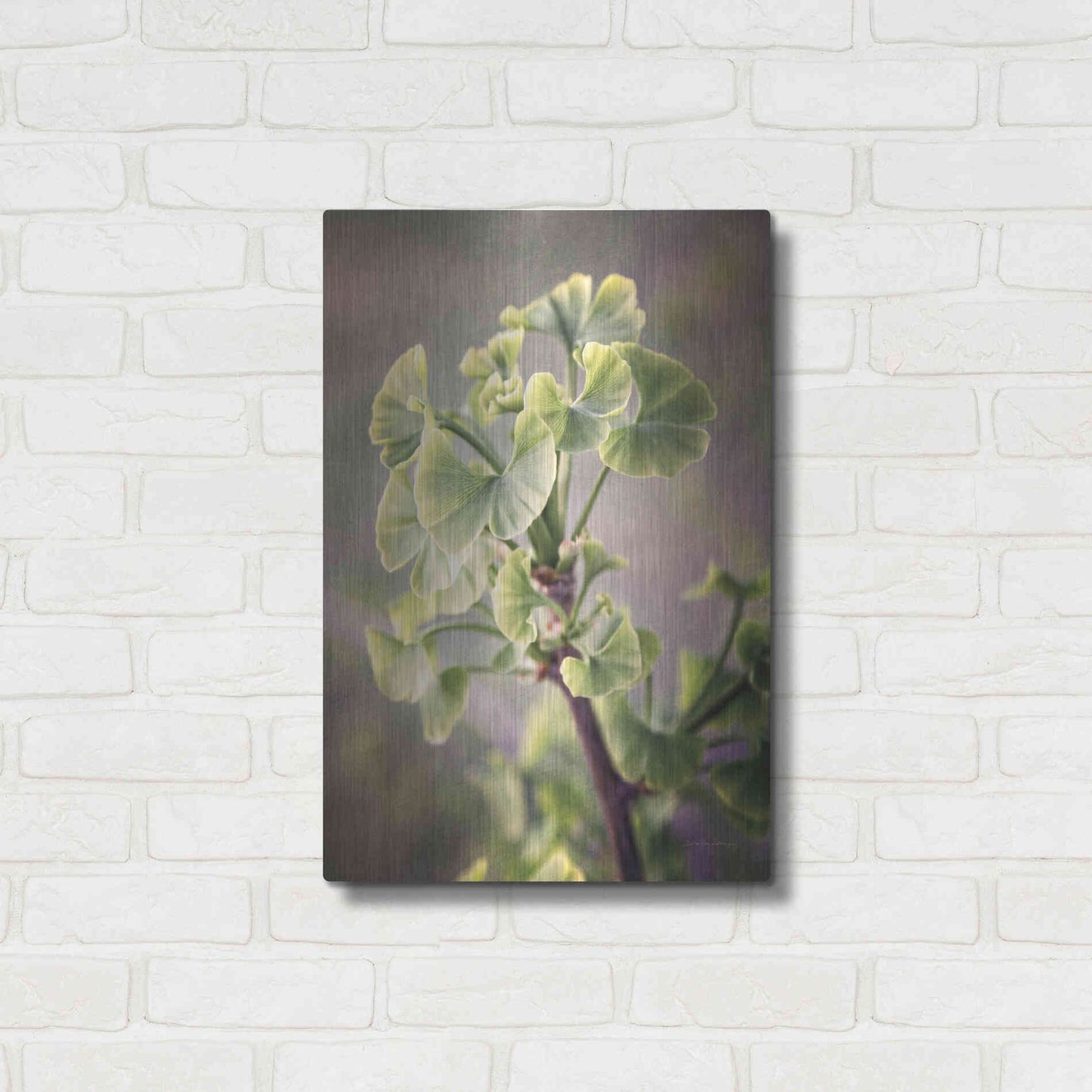 Luxe Metal Art 'Sprouting Ginkgo I' by Debra Van Swearingen, Metal Wall Art,16x24