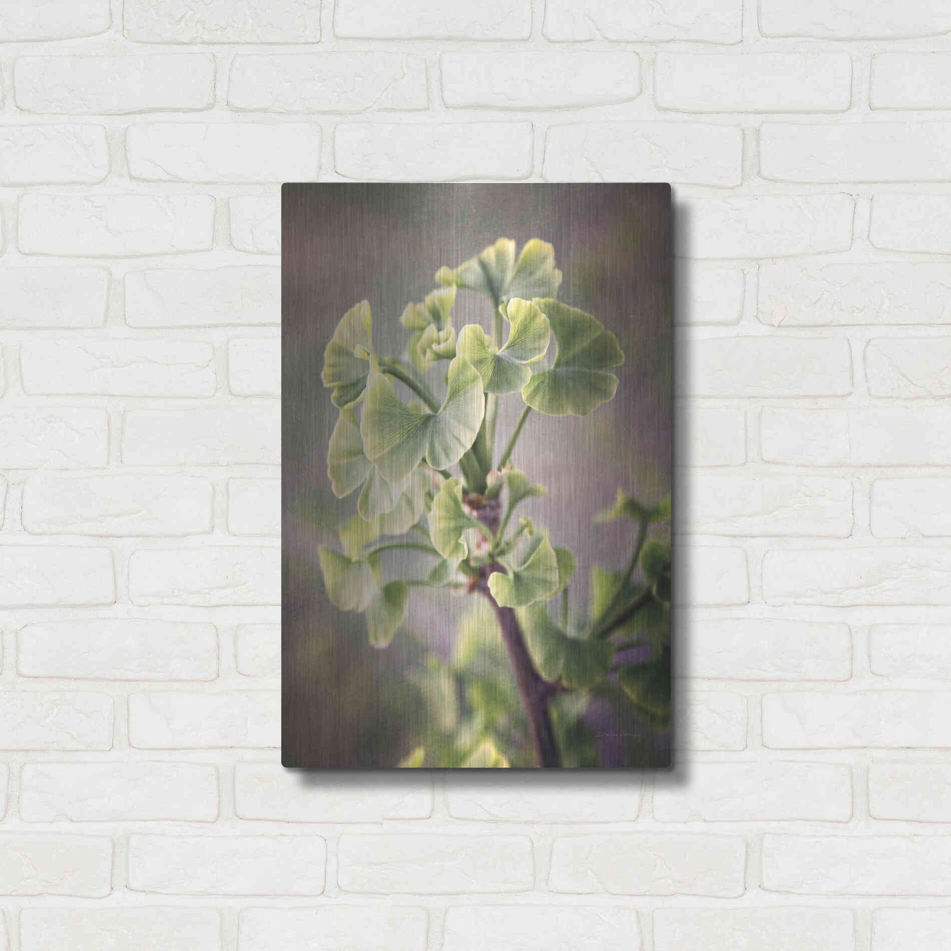 Luxe Metal Art 'Sprouting Ginkgo I' by Debra Van Swearingen, Metal Wall Art,16x24