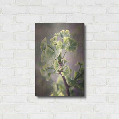 Luxe Metal Art 'Sprouting Ginkgo I' by Debra Van Swearingen, Metal Wall Art,16x24