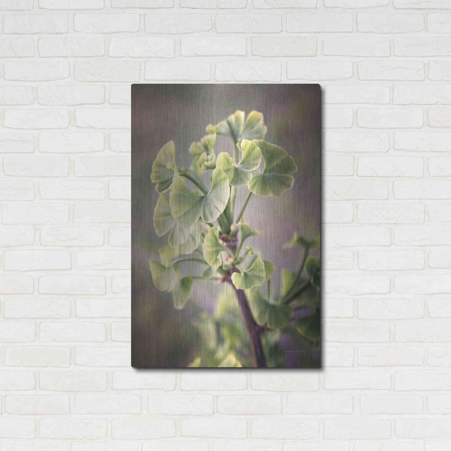 Luxe Metal Art 'Sprouting Ginkgo I' by Debra Van Swearingen, Metal Wall Art,24x36