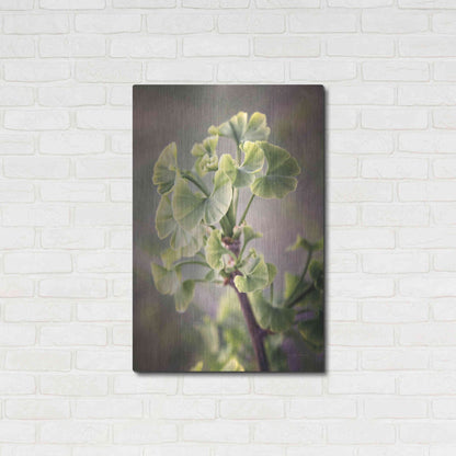 Luxe Metal Art 'Sprouting Ginkgo I' by Debra Van Swearingen, Metal Wall Art,24x36