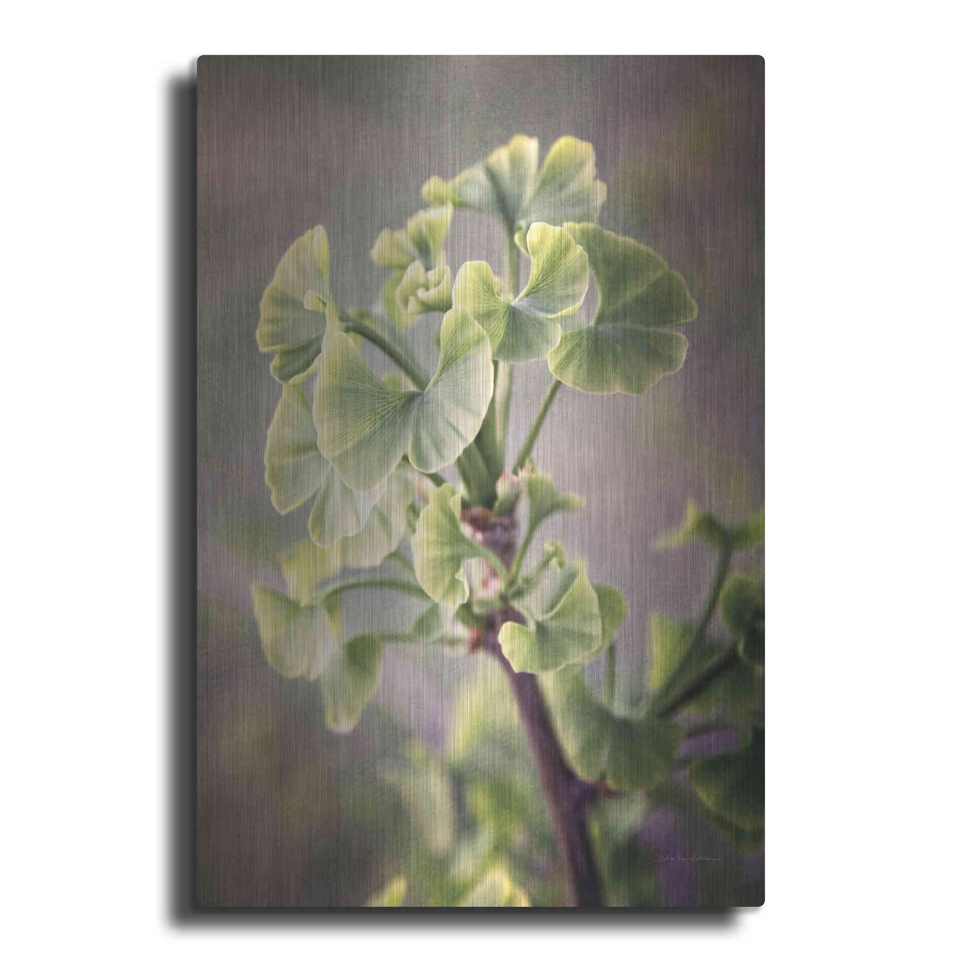 Luxe Metal Art 'Sprouting Ginkgo I' by Debra Van Swearingen, Metal Wall Art