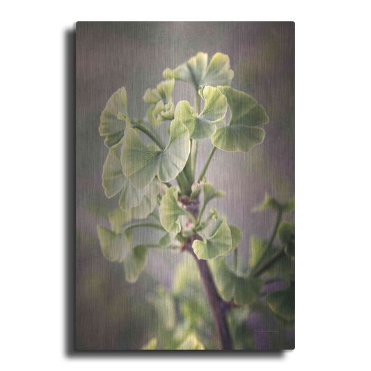 Luxe Metal Art 'Sprouting Ginkgo I' by Debra Van Swearingen, Metal Wall Art