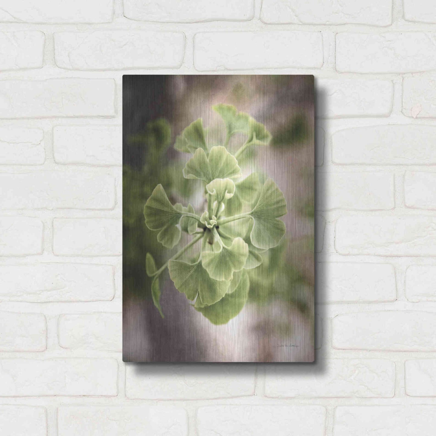 Luxe Metal Art 'Sprouting Ginkgo II' by Debra Van Swearingen, Metal Wall Art,12x16