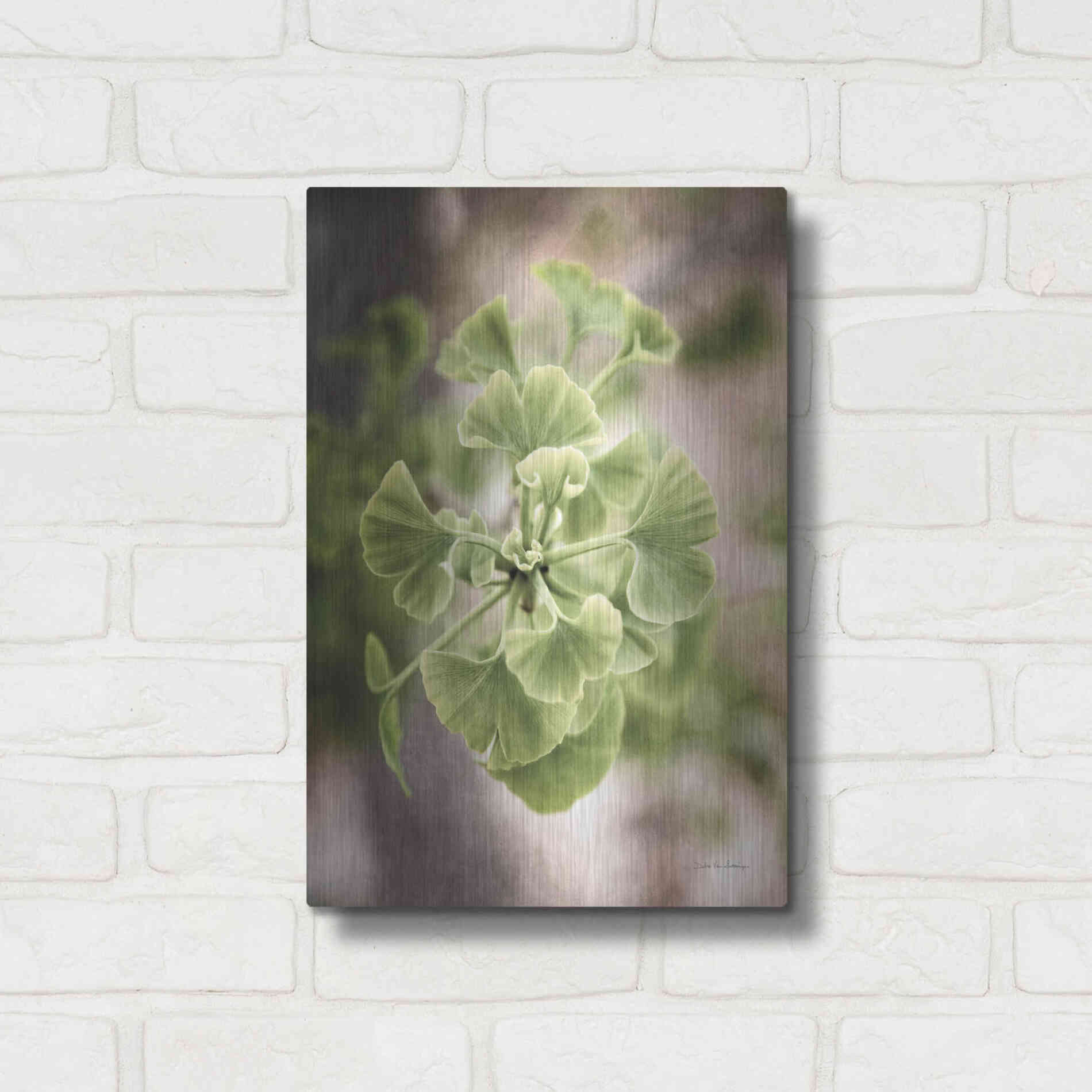 Luxe Metal Art 'Sprouting Ginkgo II' by Debra Van Swearingen, Metal Wall Art,12x16