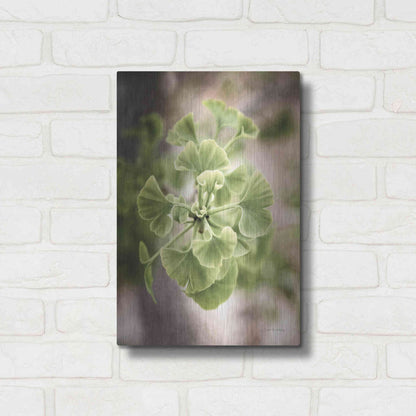 Luxe Metal Art 'Sprouting Ginkgo II' by Debra Van Swearingen, Metal Wall Art,12x16