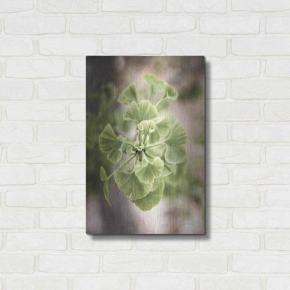 Luxe Metal Art 'Sprouting Ginkgo II' by Debra Van Swearingen, Metal Wall Art,16x24