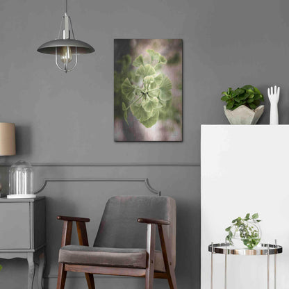 Luxe Metal Art 'Sprouting Ginkgo II' by Debra Van Swearingen, Metal Wall Art,16x24