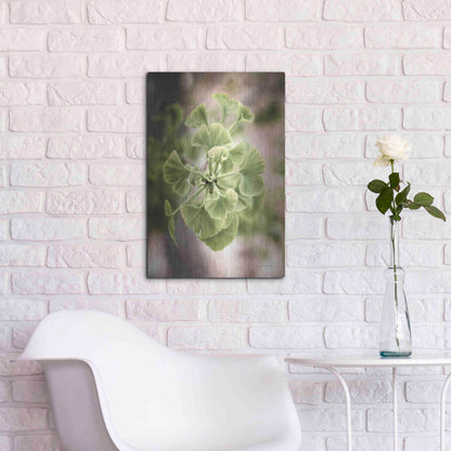 Luxe Metal Art 'Sprouting Ginkgo II' by Debra Van Swearingen, Metal Wall Art,16x24