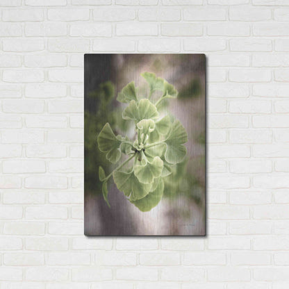 Luxe Metal Art 'Sprouting Ginkgo II' by Debra Van Swearingen, Metal Wall Art,24x36