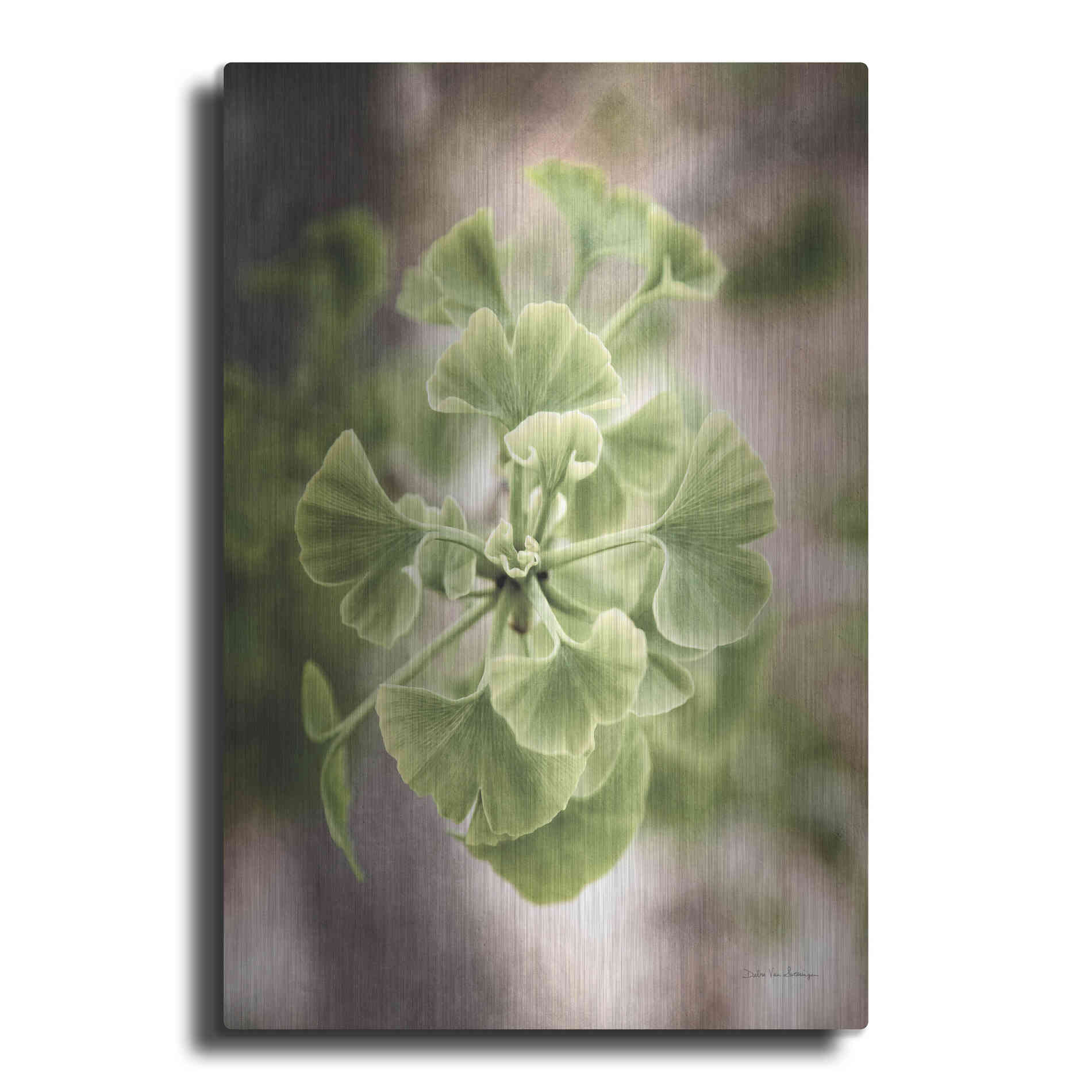 Luxe Metal Art 'Sprouting Ginkgo II' by Debra Van Swearingen, Metal Wall Art
