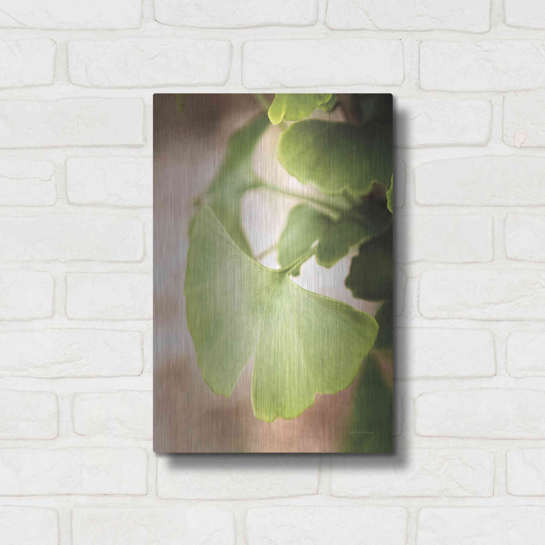 Luxe Metal Art 'Sprouting Ginkgo III' by Debra Van Swearingen, Metal Wall Art,12x16