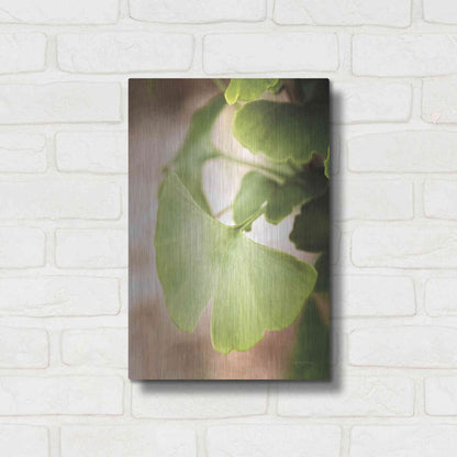 Luxe Metal Art 'Sprouting Ginkgo III' by Debra Van Swearingen, Metal Wall Art,12x16