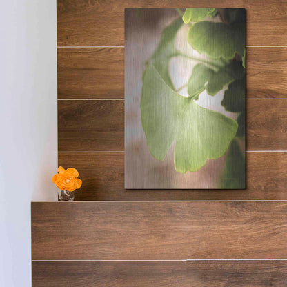 Luxe Metal Art 'Sprouting Ginkgo III' by Debra Van Swearingen, Metal Wall Art,12x16