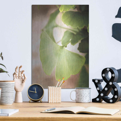 Luxe Metal Art 'Sprouting Ginkgo III' by Debra Van Swearingen, Metal Wall Art,12x16