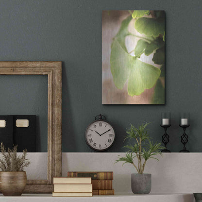 Luxe Metal Art 'Sprouting Ginkgo III' by Debra Van Swearingen, Metal Wall Art,12x16