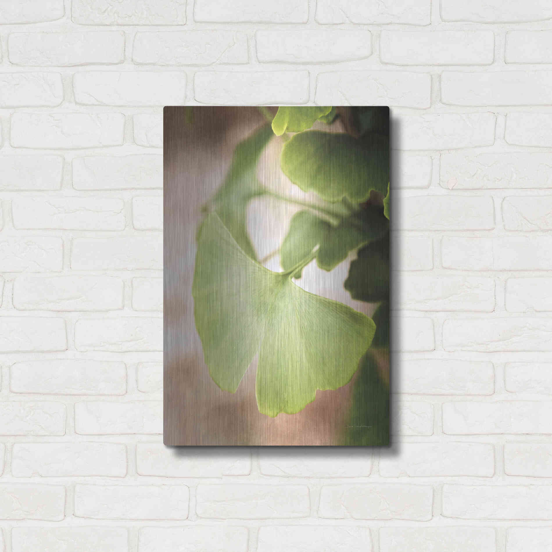Luxe Metal Art 'Sprouting Ginkgo III' by Debra Van Swearingen, Metal Wall Art,16x24