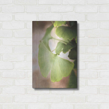 Luxe Metal Art 'Sprouting Ginkgo III' by Debra Van Swearingen, Metal Wall Art,16x24