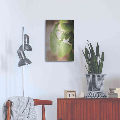 Luxe Metal Art 'Sprouting Ginkgo III' by Debra Van Swearingen, Metal Wall Art,16x24