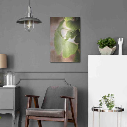 Luxe Metal Art 'Sprouting Ginkgo III' by Debra Van Swearingen, Metal Wall Art,16x24