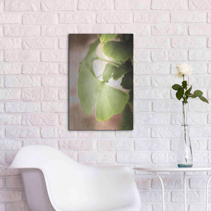 Luxe Metal Art 'Sprouting Ginkgo III' by Debra Van Swearingen, Metal Wall Art,16x24