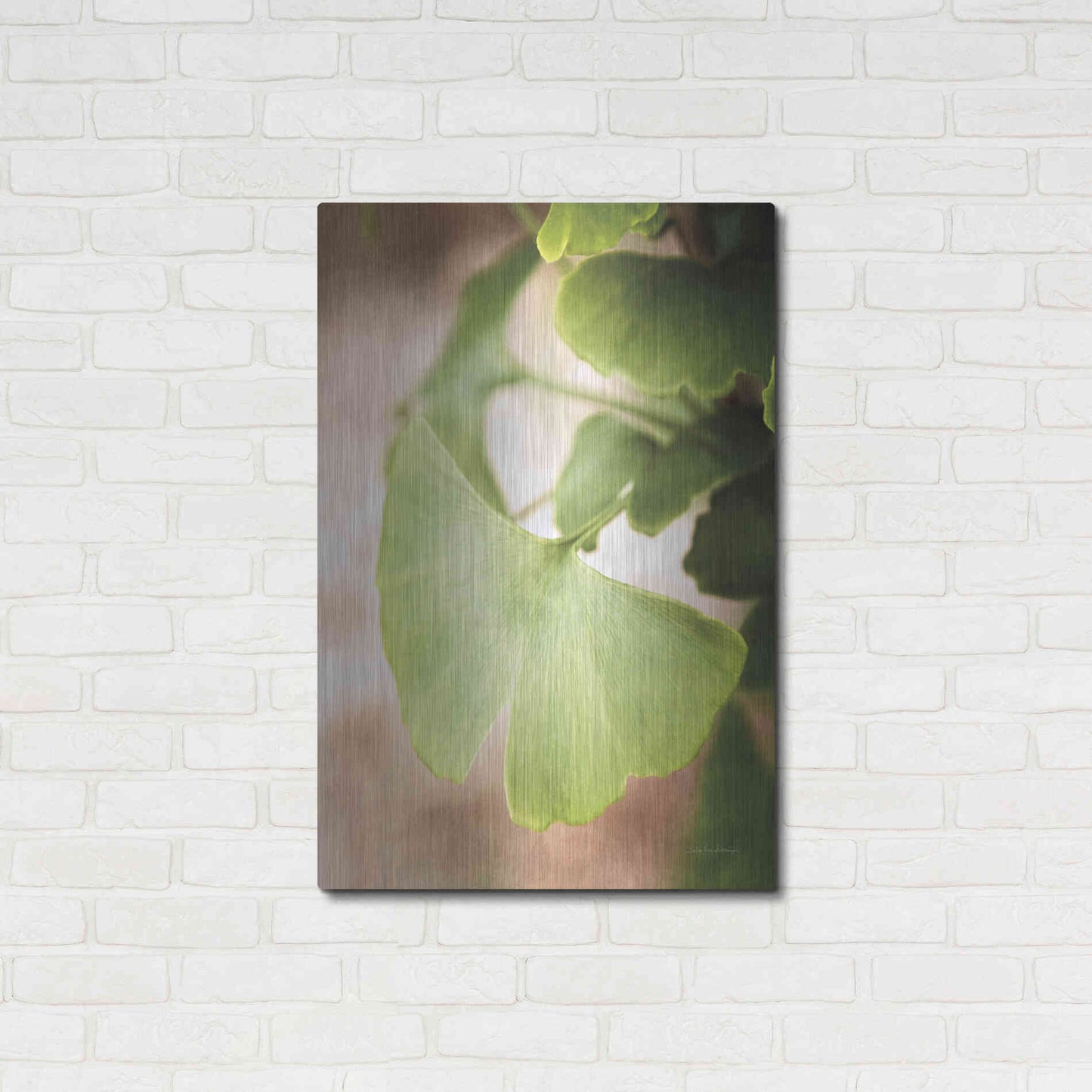 Luxe Metal Art 'Sprouting Ginkgo III' by Debra Van Swearingen, Metal Wall Art,24x36
